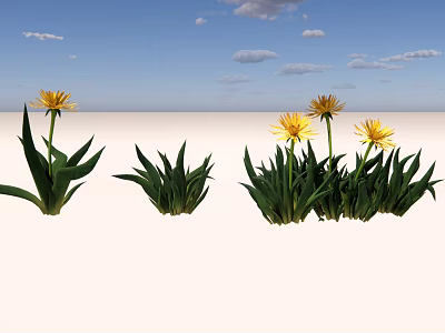 Vibrant Yellow Flowers With Green Leaves Under Blue Sky And White Clouds 3d model