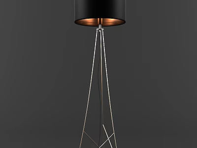 Modern Floor Lamp With Black Shade And Sleek Metallic Tripod Stand 3d model