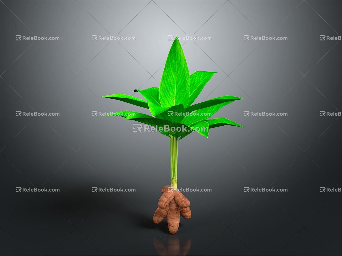 Ginger ginger seasoning ingredients vegetables plant life supplies 3d model