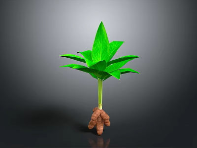 Green Potted Plant With Large Leaves And Bulbous Roots For Home Decor 3d model Green Potted Plant With Large Leaves And Bulbous Roots For Home Decor 3d model