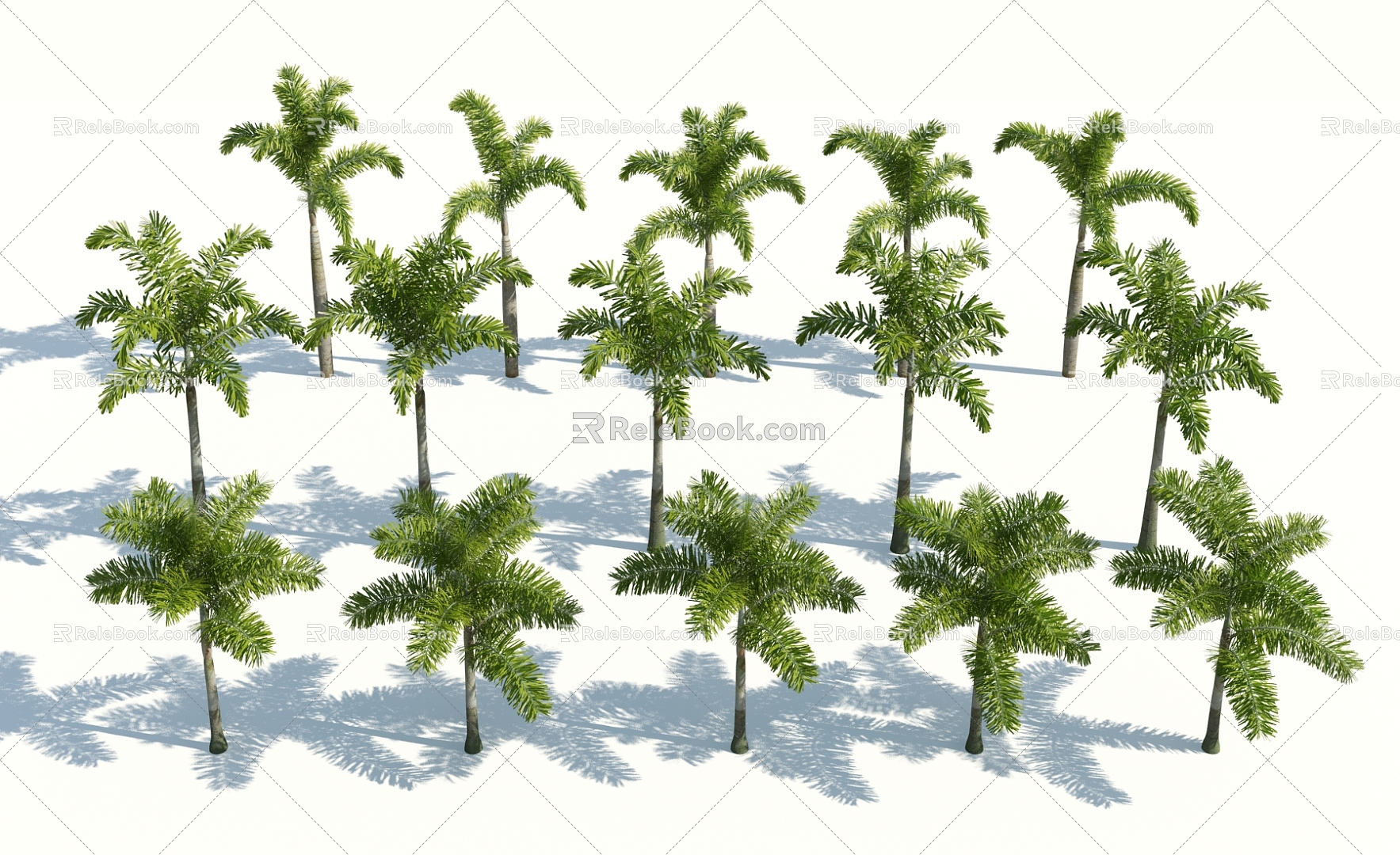 Modern Palm Tree 3d model