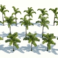 Modern Palm Tree 3d model