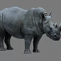 Standing Realistic Gray Rhinoceros 3D Model With Detailed Skin And Horns