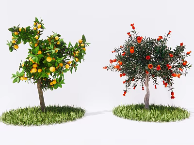 Two Ornamental Trees With Yellow Fruits Red Flowers And Green Grass Base 3d model