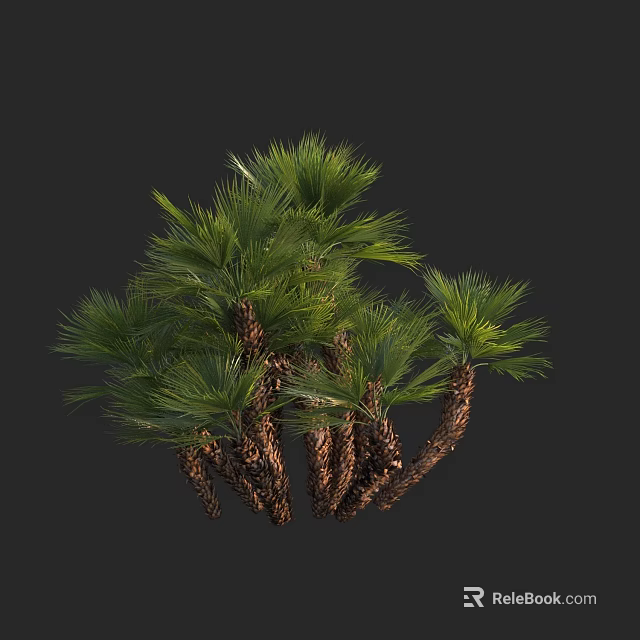 Lush Green Arbor With Clustered Brown Trunks And Vibrant Green Fronds Design 3d model 