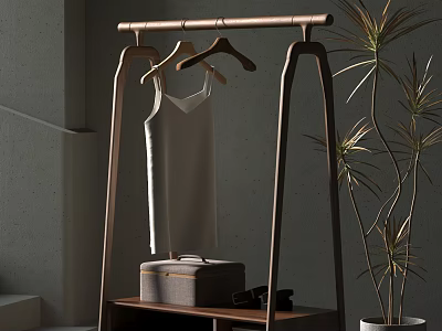 Modern Wooden Clothes Rack With White Tank Top Hangers Gray Bag Sunglasses And Green Plant 3d model
