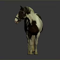 Realistic Brown and White Pony Standing on Gray Surface with Reflection