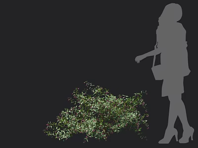 Lush Leafy Green Bush With Female Silhouette Standing Beside In High Heels Against Dark Background 3d model