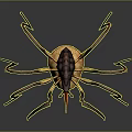 3D Rendered Fantasy Spider With Long Colored Legs And Yellow Red Abdomen