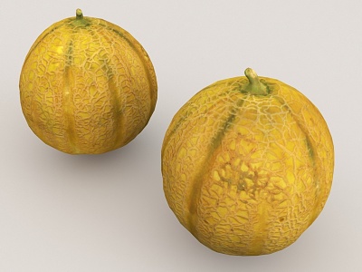 Hami melon fruit food model