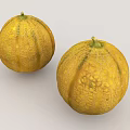Two fresh ripe yellow cantaloupe melons with netted rind and green stems