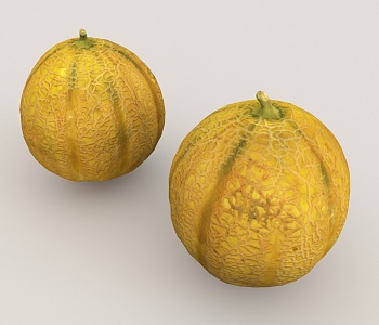 Hami melon fruit food 3d model