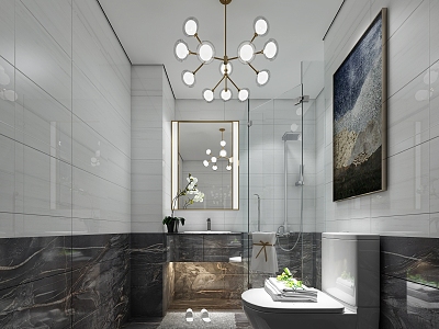 Toilet Chandelier Hanging Picture Shower Toilet Shower 3d model