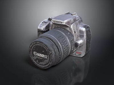Professional Canon Digital Camera With Silver Body And High Quality Lens 3d model