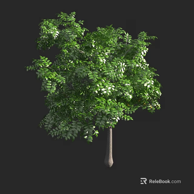 Tall Arbor With Lush Green Foliage And Strong Trunk In Natural Environment 3d model 