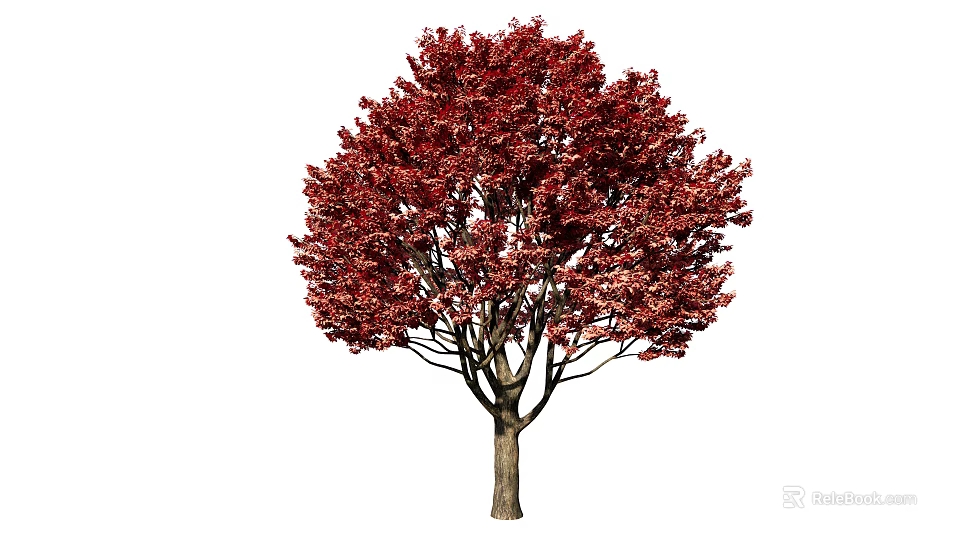 Red Leaf Arbor With Lush Red Foliage and Brown Trunk 3d model 