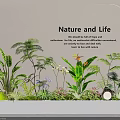 Indoor Landscape With Nature and Life Theme Featuring Tropical Plants Ferns And Butterfly Decor
