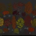 Diverse Arbor Collection with Colorful Seasonal Leaves and Natural Stone Bases