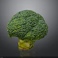 Vibrant Fresh Green Broccoli with Yellow Stem on Gray Background
