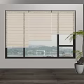 White Elegant Roller Blinds Decorating Window with Scenic Outdoor View and Indoor Green Plant
