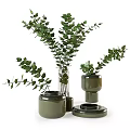 Green Vases With Lush Eucalyptus Leaves For Modern Home Decor Arrangement