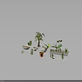 Various Indoor Plants with Different Planters Including White Ceramic and Clay Pots 3d model