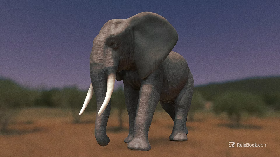 Gray Elephant With White Tusks Standing In Savanna Under Blue Sky 3d model 