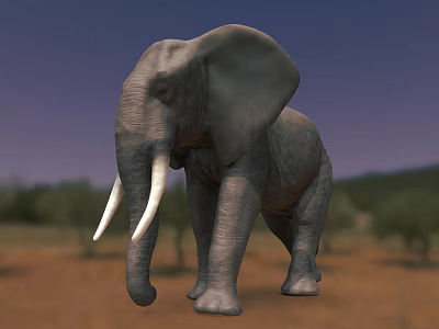 Gray Elephant With White Tusks Standing In Savanna Under Blue Sky 3d model