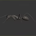 Detailed 3D Model of Metallic Ant with Shiny Exoskeleton and Long Legs on Dark Background