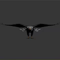 Flying Eagle With Spreading Wings Dark Green And White Feathers Yellow Beak And Talons