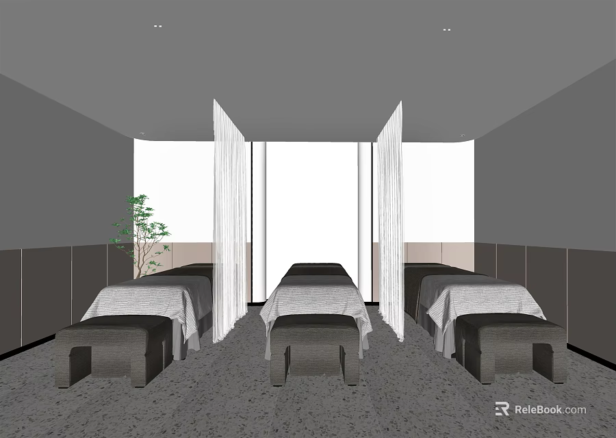 SPA Sauna Interior With Treatment Beds Curtains And Green Plant 3d model 