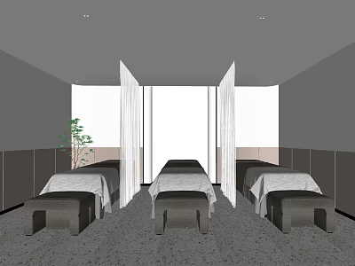 SPA Sauna Interior With Treatment Beds Curtains And Green Plant 3d model