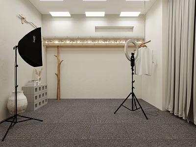 Modern Public Office Space With Photography Equipment Softbox Ring Light And Gray Carpet 3d model