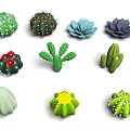 Colorful Cactus Plants In Various Shapes With Green Blue And Purple Hues
