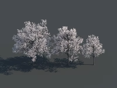 Three Snow Covered White Trees With Dark Shadows On Gray Background 3d model