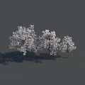 Three Snow Covered White Trees With Dark Shadows On Gray Background 3d model
