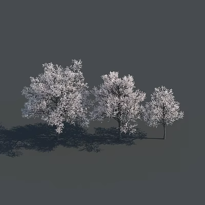 Three Snow Covered White Trees With Dark Shadows On Gray Background 3d model
