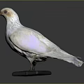White Pigeon Flying Bird Standing On Black Base With Gray Background