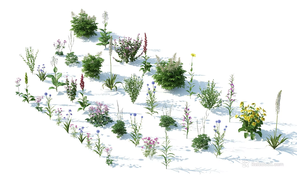 Different Types of Shrubs Featuring Green and Purple Foliage and Colorful Flowers 3d model 