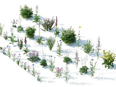 Different Types of Shrubs Featuring Green and Purple Foliage and Colorful Flowers 3d model