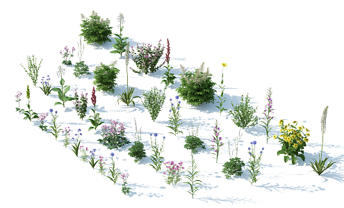 Modern Shrubs Garden Plants Shrubs Flowers 3d model