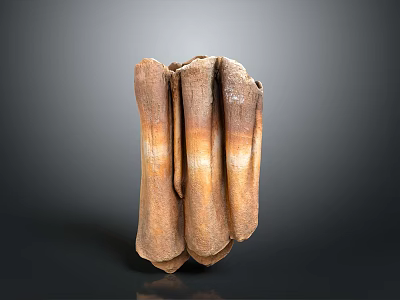 Dried Layered Brown Organ And Hair Structure With Natural Texture Detailed View 3d model