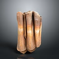 Dried Layered Brown Organ And Hair Structure With Natural Texture Detailed View