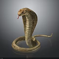 Realistic Brown Cobra With Hooded Neck Flicking Red Tongue On Dark Background