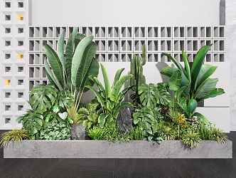 Green Plant Flower Box Indoor Plant Landscaping Plant Combination Plant Pile Flower Pond Flower Beds 3d model