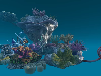 Aquatic Animals In Vibrant Coral Reef With Colorful Corals And Marine Rocks 3d model