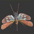 Colorful Insect With Vibrant Transparent Wings And Blue Orange Body Patterns On Dark Background