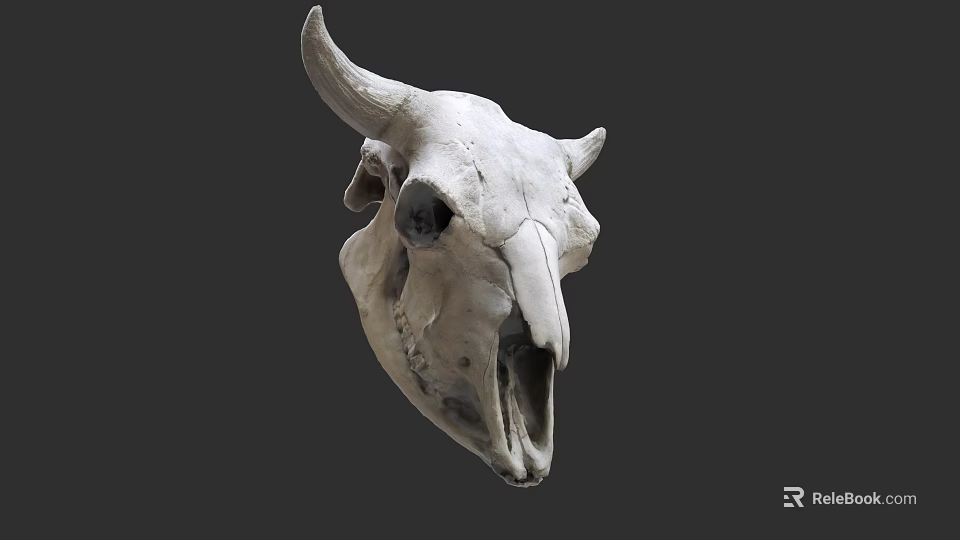Detailed Bull Skull Sculpture Hand Carved With Intricate Bone Structure Artwork 3d model 