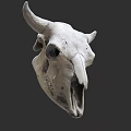 Detailed Bull Skull Sculpture Hand Carved With Intricate Bone Structure Artwork