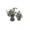 Decorative Ornament Set With White Cylindrical Vases Green Leaves And White Flowers